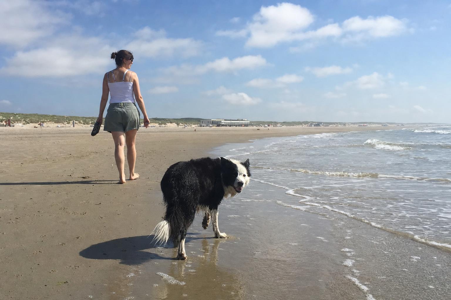 Wandeling met de hond over het brede strand
