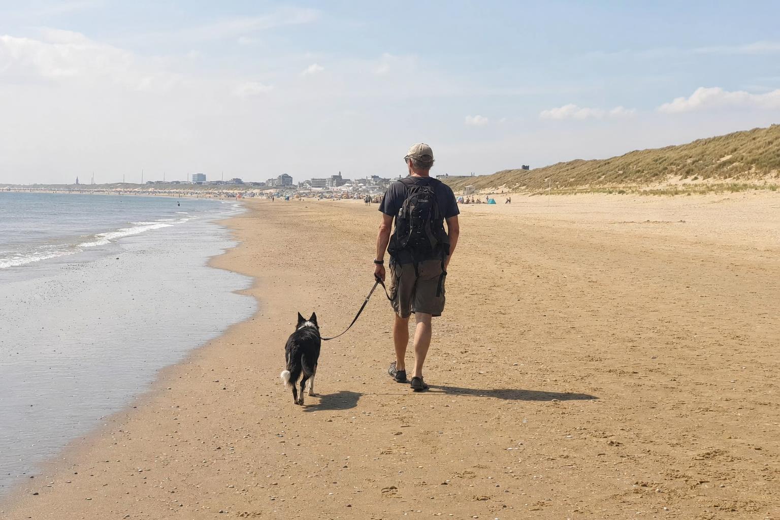 Aangelijnde hond wandelt met baasje langs het strand