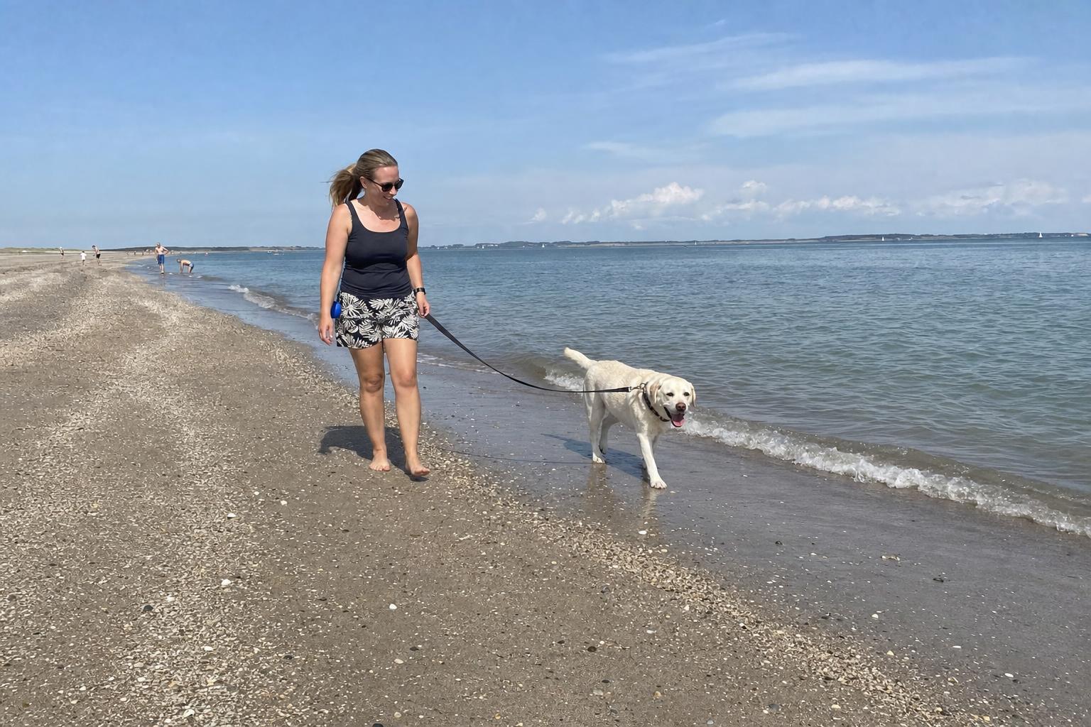 Wandeling met de hond over een zonnig Zeeuws strand