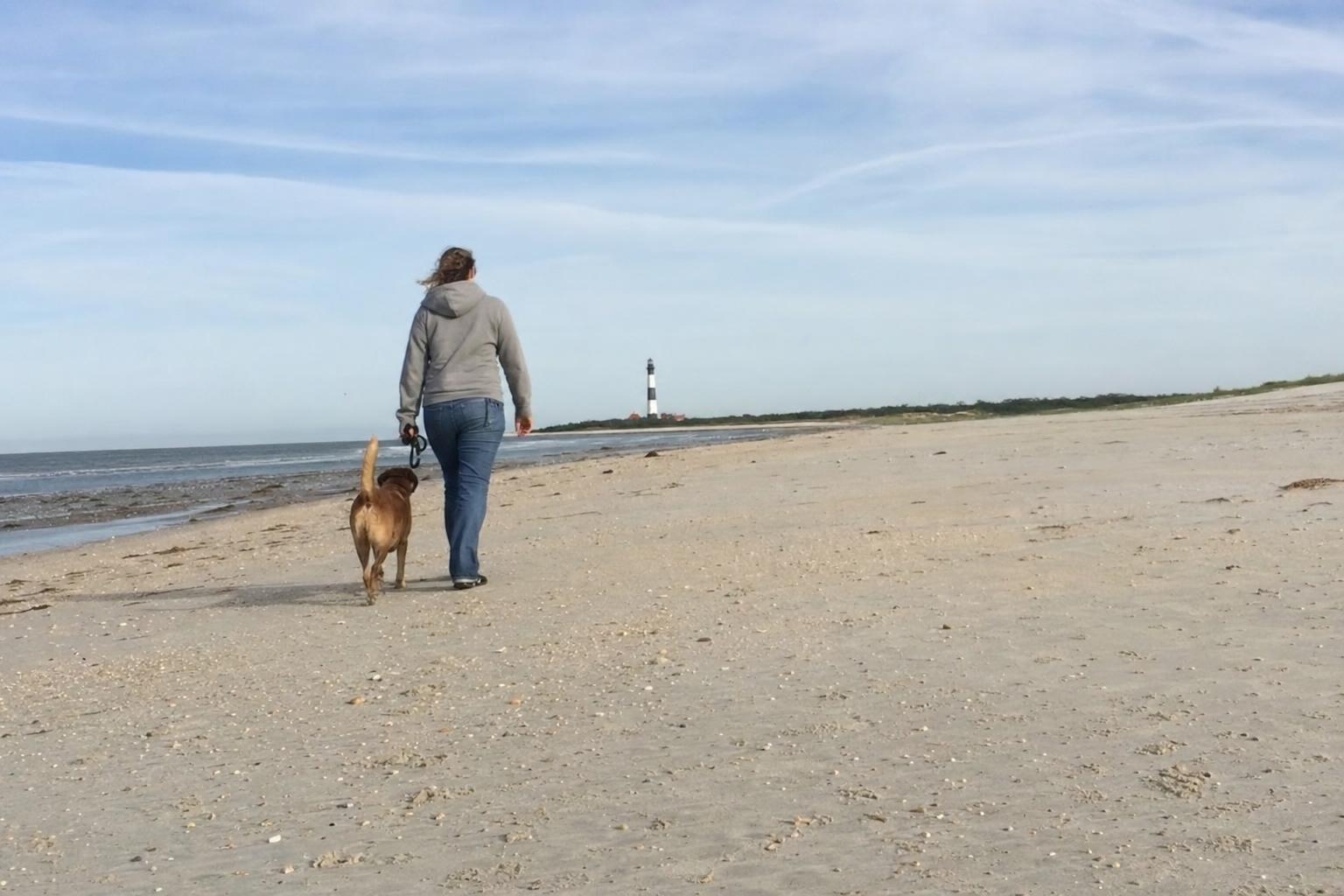 Hond op een breed strand met de vuurtoren in de verte